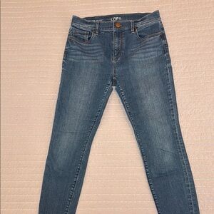 LOFT Blue Skinny Jeans Classic Denim Style